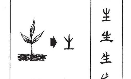 丝瓜兑水的功效与作用及禁忌-丝瓜兑水的功效与作用网 :分享丝瓜兑水的功效与作用是什么-丝瓜媵水有什么用知识
